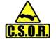 CSOR's Avatar